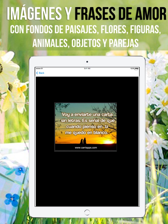 Imagenes y Frases de Amor para Enamorar