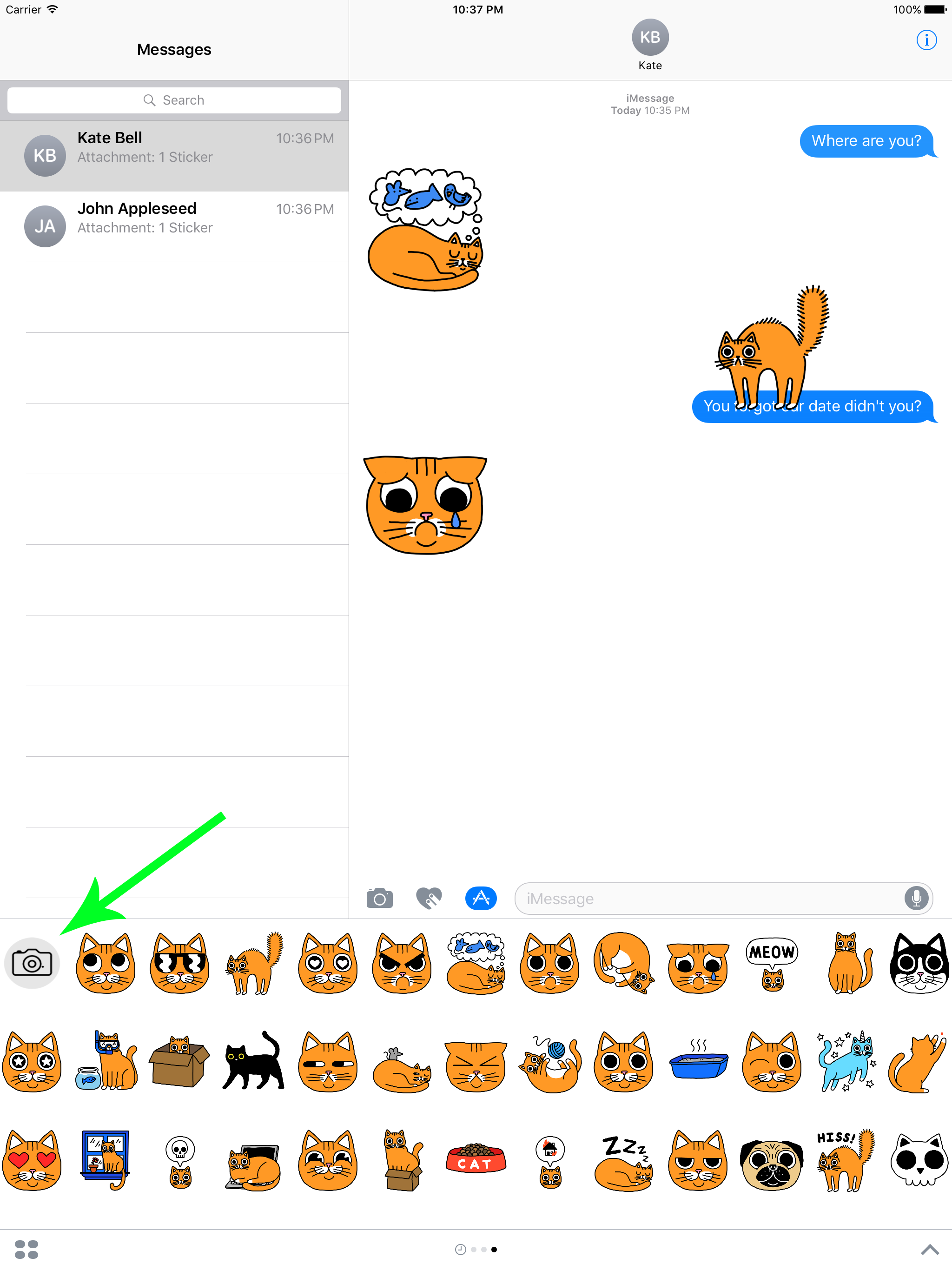 Cat Stickers for Messages & Photos