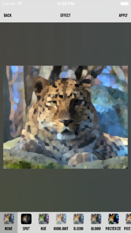 Paint for Photo Blender and Prisma screenshot-4