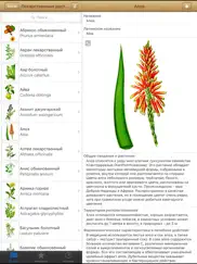 Лекарственные растения айпад изображения 1