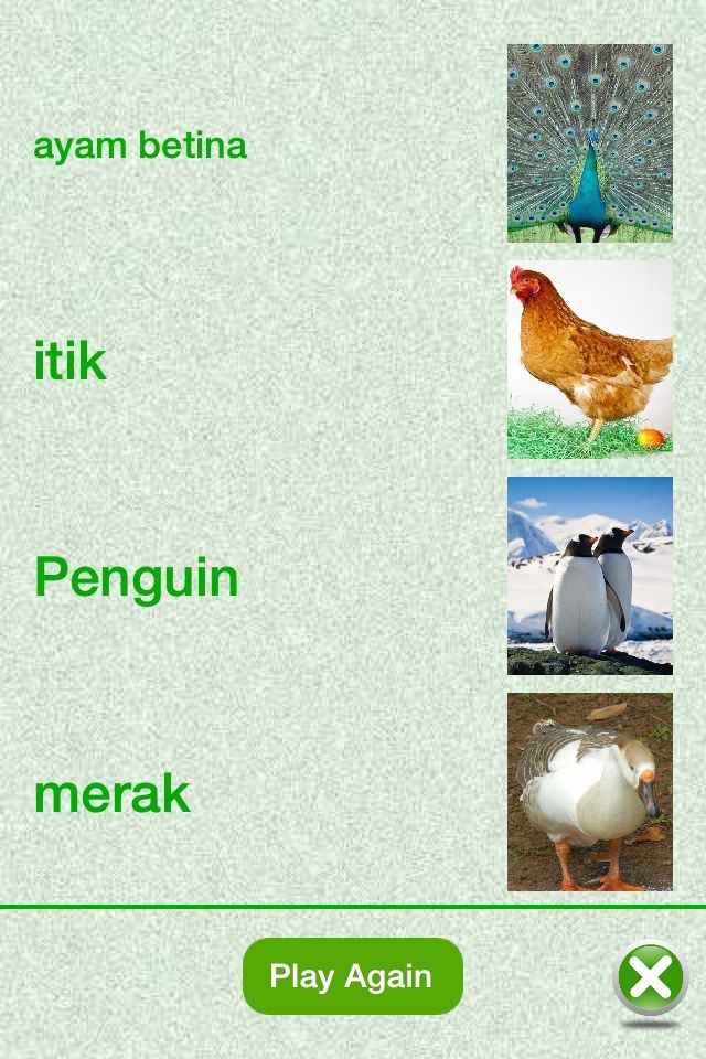 Flashcards Malay Lesson screenshot 3