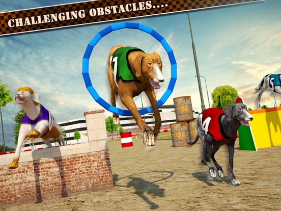 Dog Race & Stunts 2016 iPad screenshot