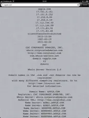 проверка домена айпад изображения 1