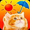 みんなのにゃんこ天気〜天気予報+猫写真で毎日に少しほっこり〜