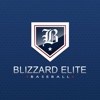 Blizzard Elite Baseball