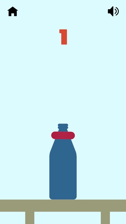 Bottle Ring Toss