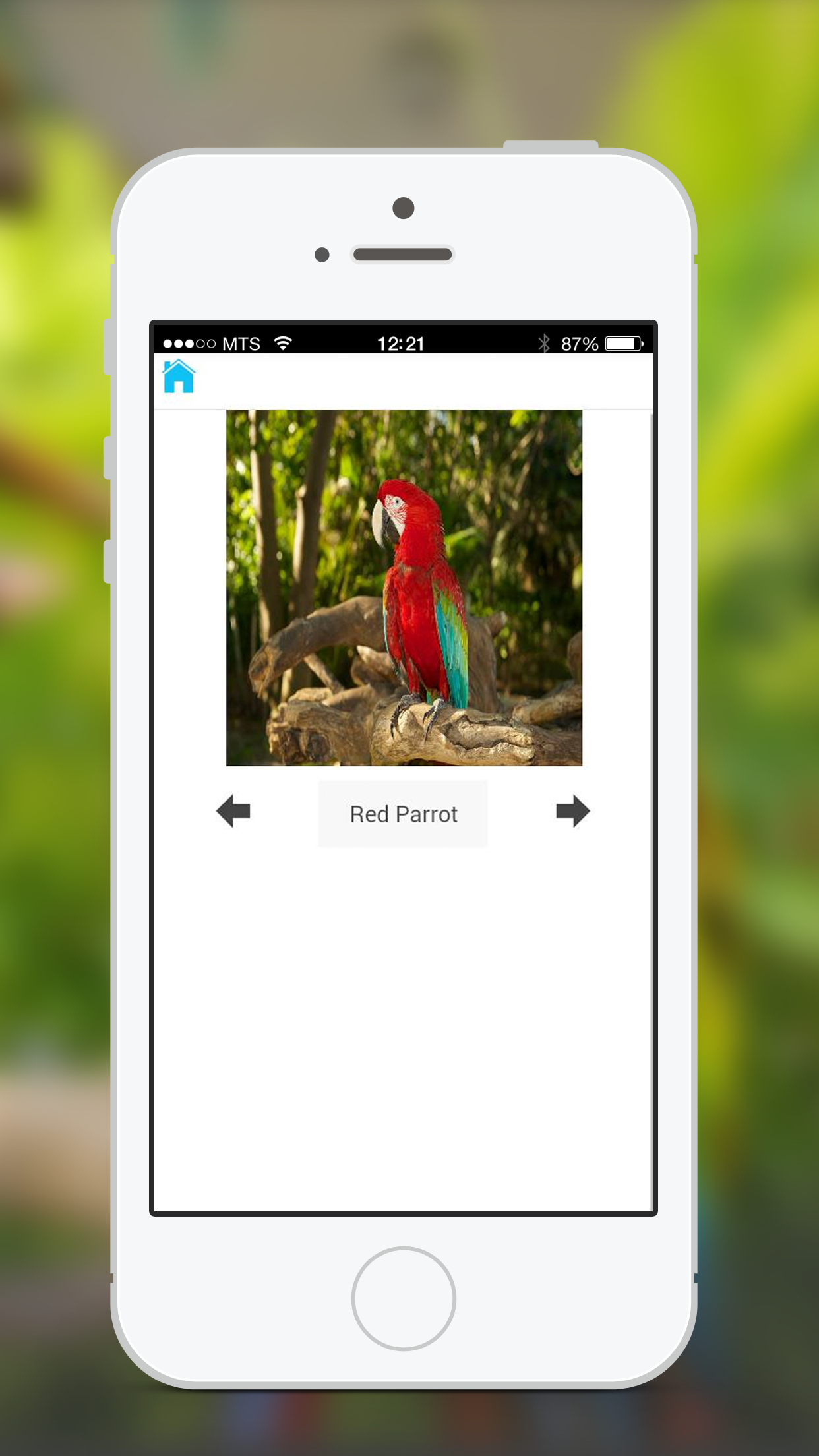 Animal Sounds & Photos for Kids