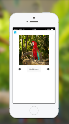 Animal Sounds & Photos for Kids screenshot 4