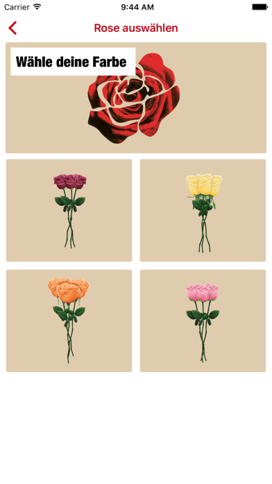 Give a rose screenshot 3