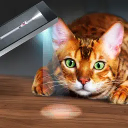 Light Beam For Cat Joke app icon