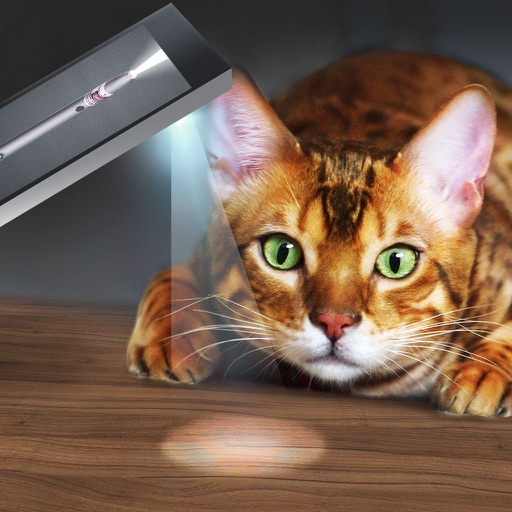 Light Beam For Cat Joke iOS App