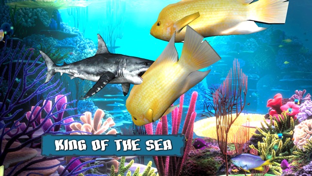 King Of The Fish Tank(圖4)-速報App