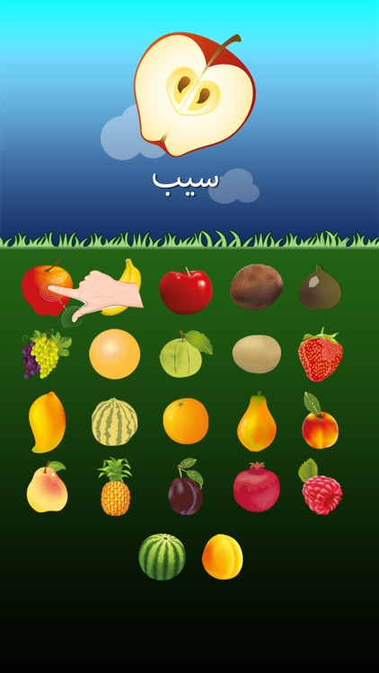 Urdu Fruits Go for Kids screenshot-3