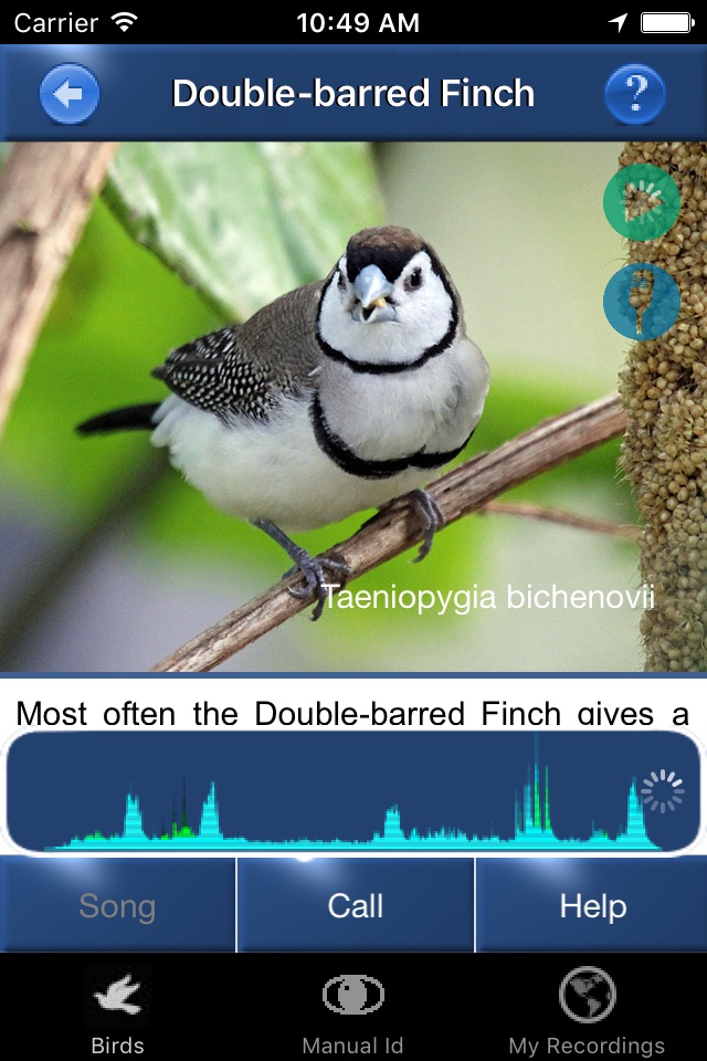 Bird Song Id Australia - Automatic Recognition screenshot 3