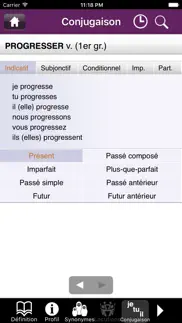dictionnaire dixel mobile iphone capturas de pantalla 4