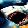 Top Wild Monster Shark Angry Sharks Reef Life Free