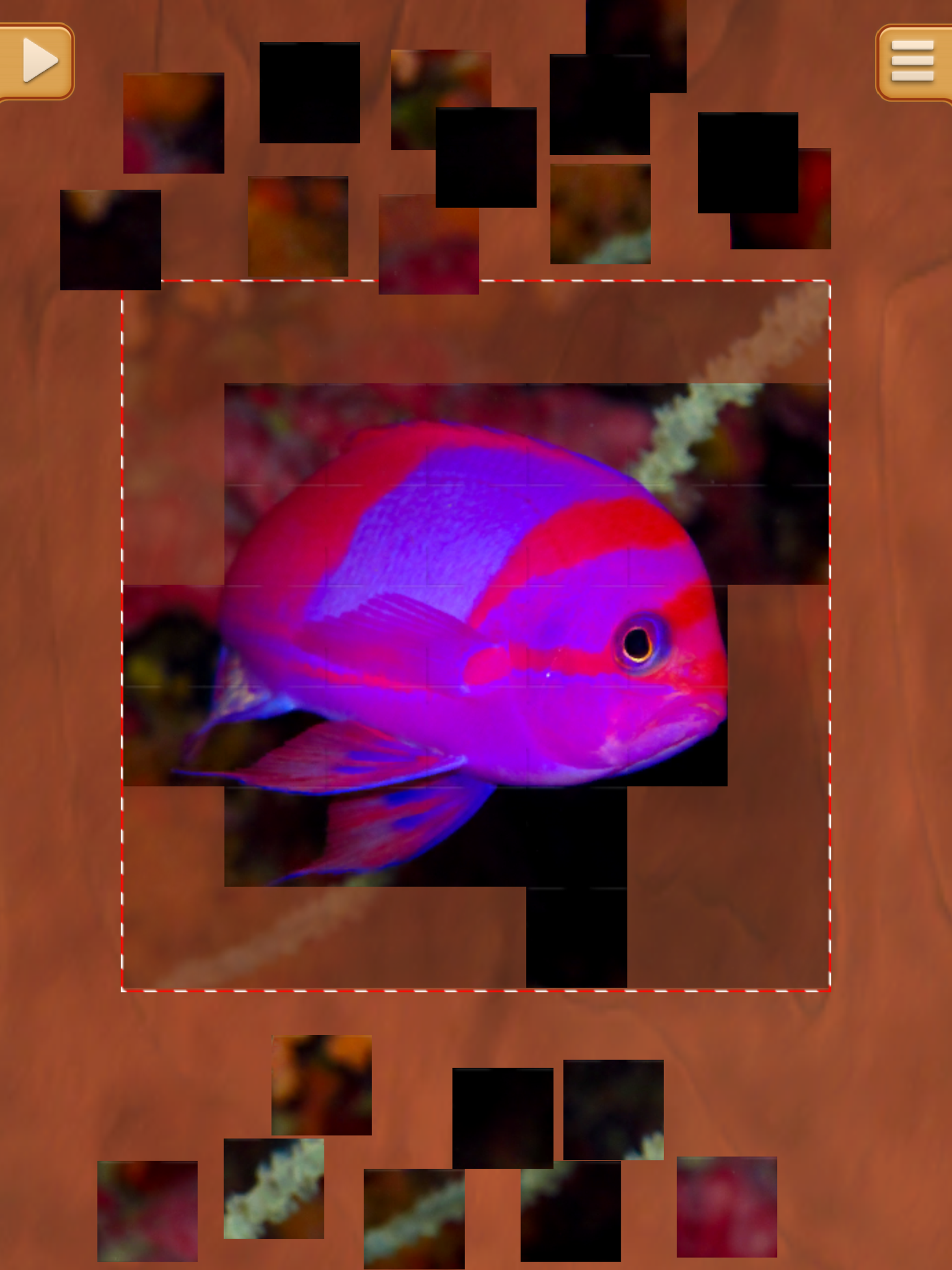 Cool Fish Jigsaw Puzzles - Fun Logical Games