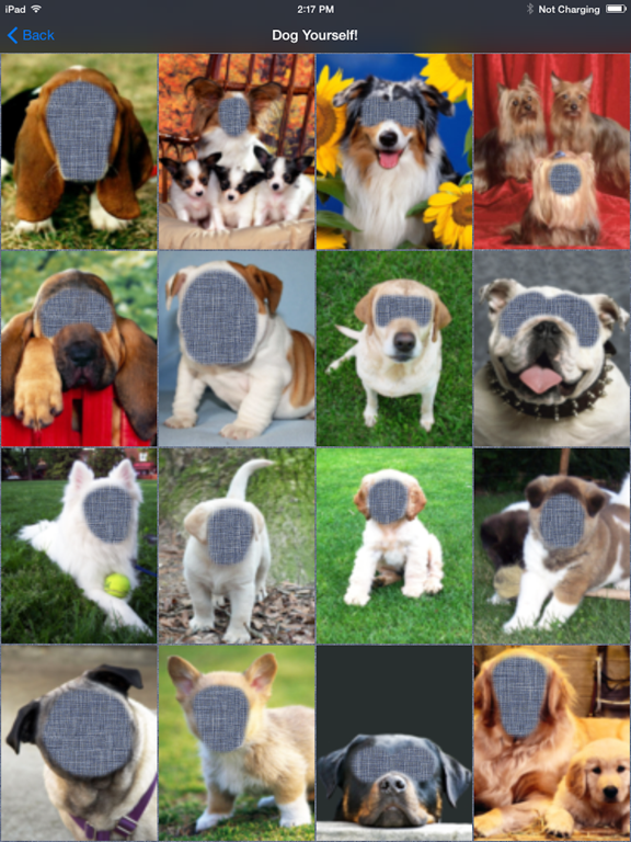 Dog Me! iPad screenshot
