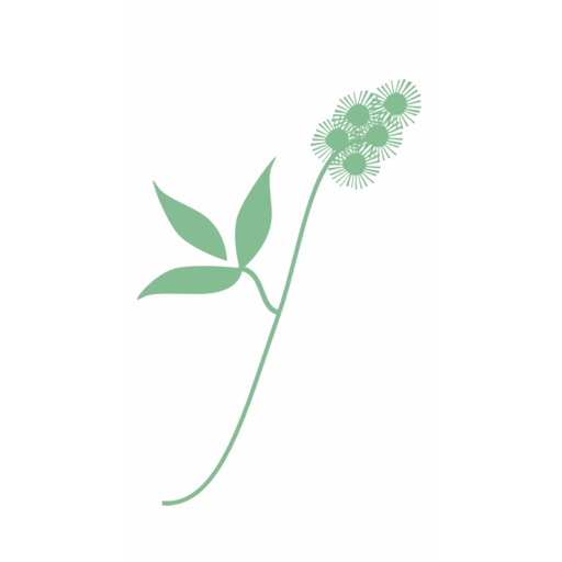 Skye Meadowsweet Store icon