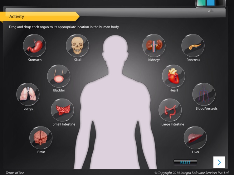 Human Anatomy Explorer Skeletal System