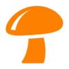 Myko-Fungi StarTree