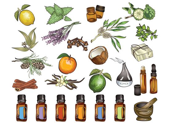 Screenshot #4 pour Huile Essentielle et Aromathérapie Autocollants