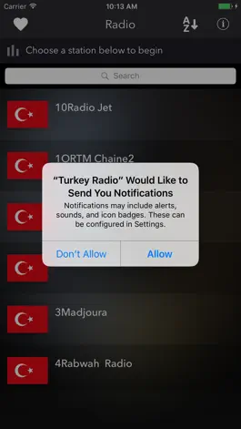 Game screenshot Turkey Radio apk