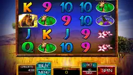 Game screenshot Rhino Gold Slot Game - FREE apk