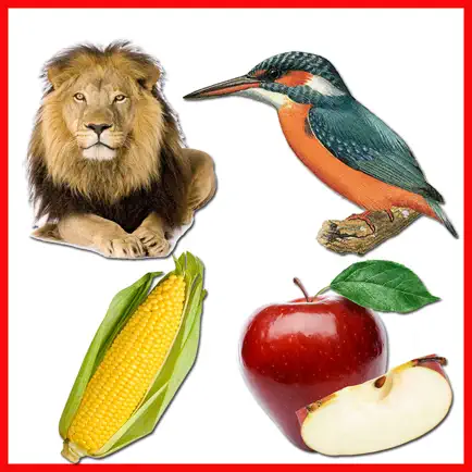 Toddler Educational Activities Читы