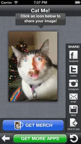 Game screenshot Cat Me! hack
