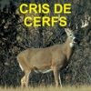 Cris Et Sons De Cerfs Pour La Chasse
