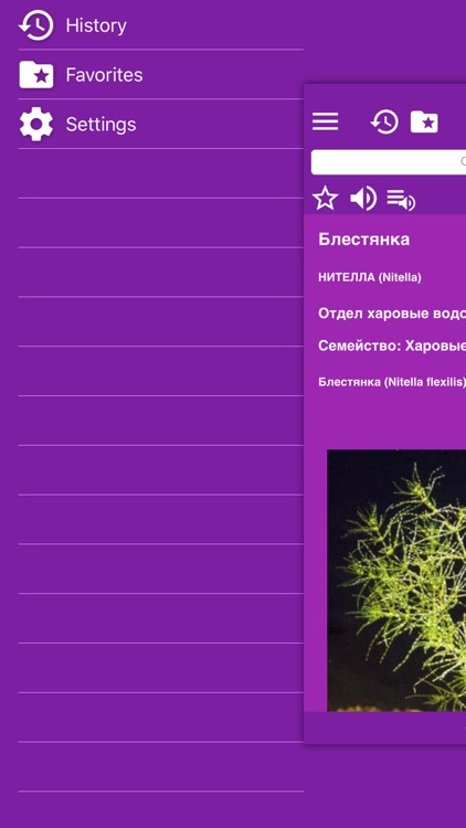 Аквариумные рыбки беспл.