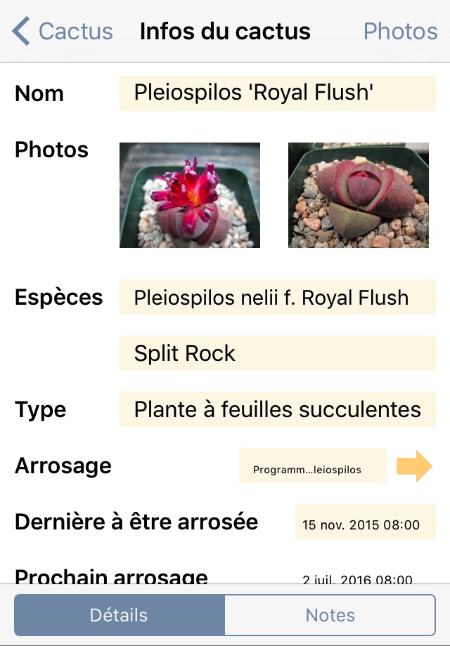 Cactus Album Lite screenshot 2