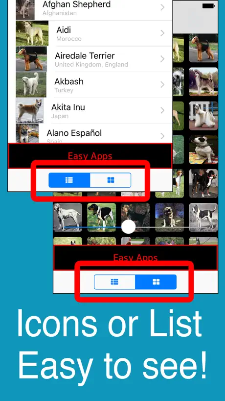 World Dogs!