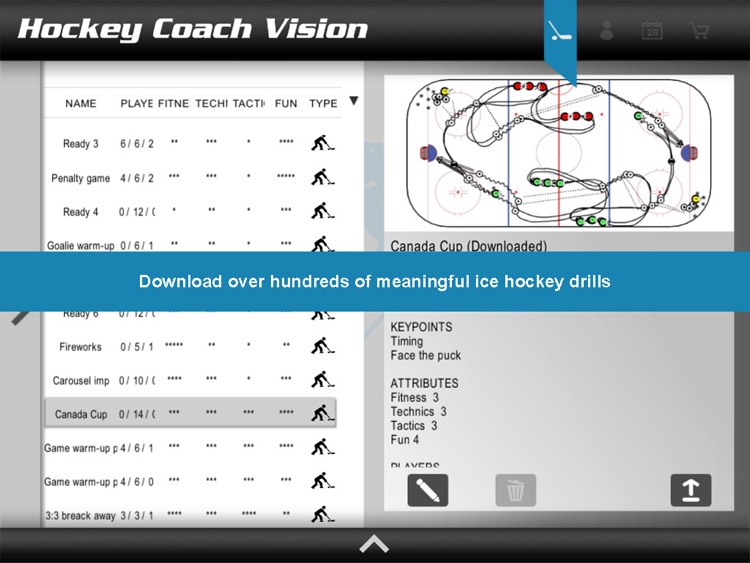 Hockey Coach Vision