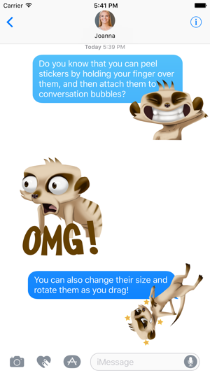Miko the Meerkat(圖2)-速報App