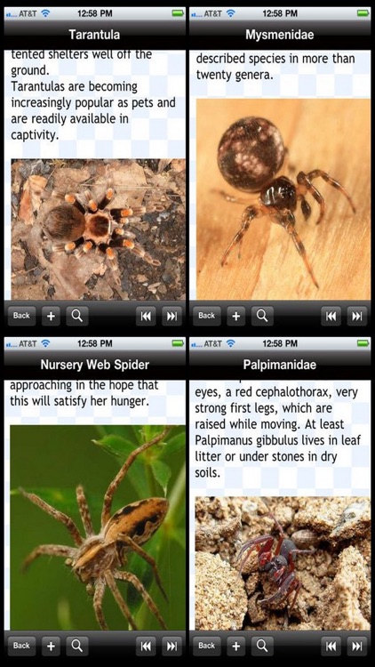 Spider Bible