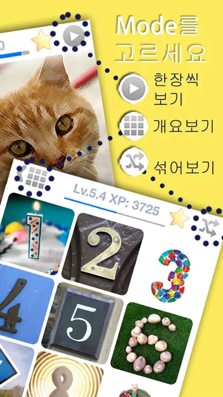 LingoCards 포르투갈어 단어 배우기 (무료)