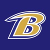 Baltimore Ravens: Team