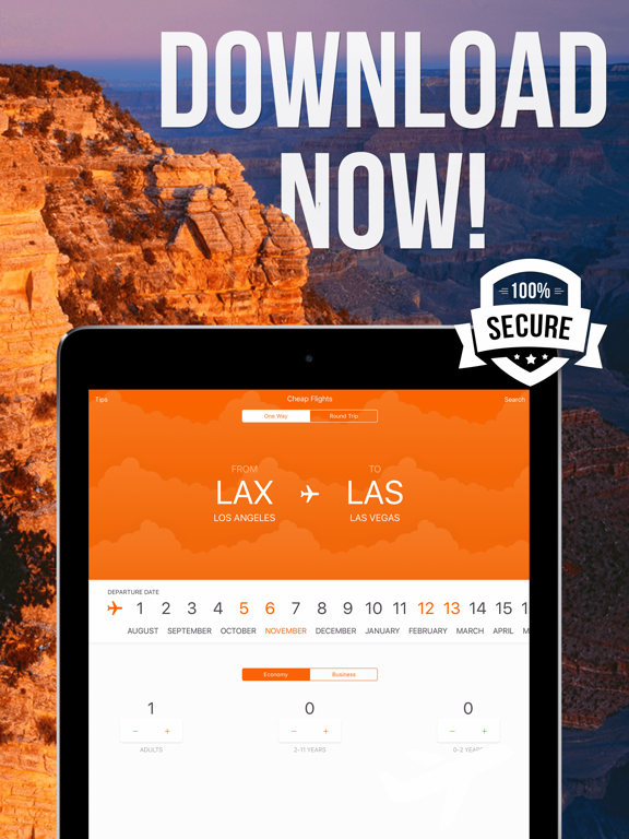 Cheap Domestic Flight Deals iPad screenshot 4 - Travel app