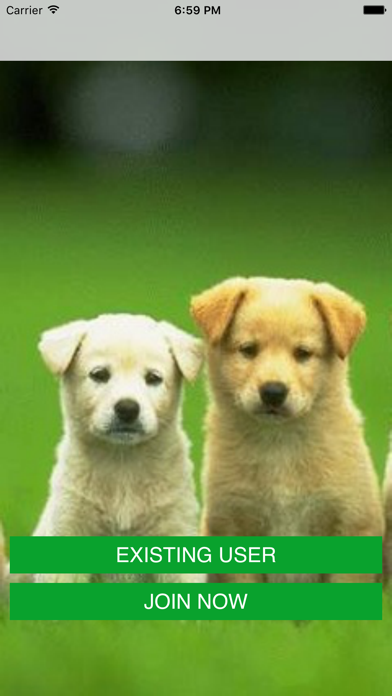 Screenshot #1 pour Dog Walker - Fitness Run