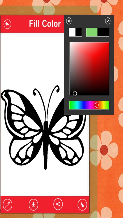 Butterfly Color Book-Beautiful Butterfly Canvas