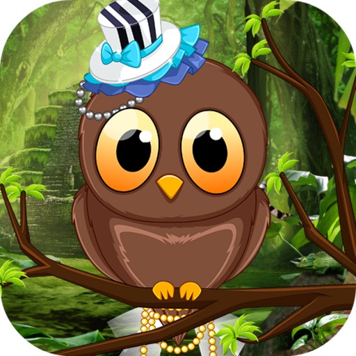 Pet Stars Baby Owl iOS App