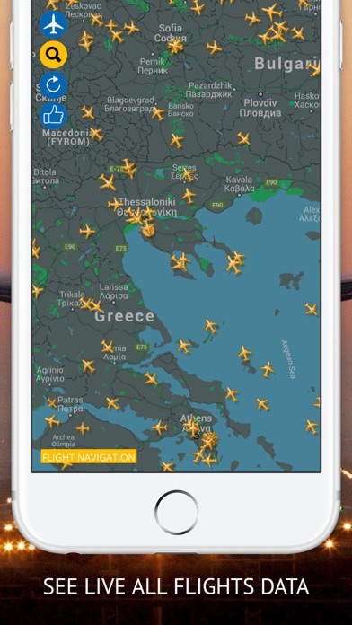 Screenshot #1 pour Flight Navigation