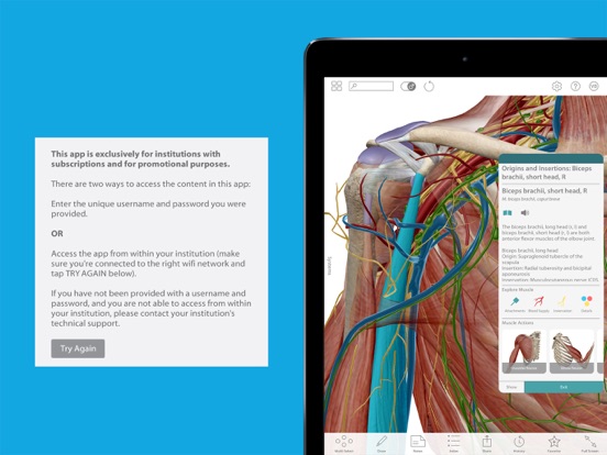 Screenshot #4 pour For Organizations - 2017 Human Anatomy Atlas