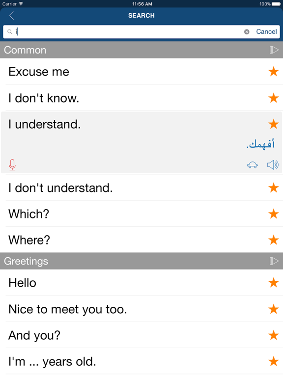 Learn Arabic Phrases & Words iPad screenshot 4 - Education app