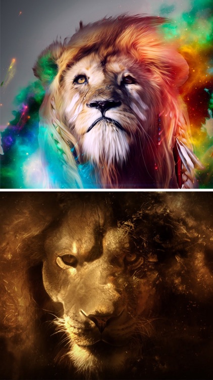 Lion Wallpapers HD - Great Lions Pictures Catalog