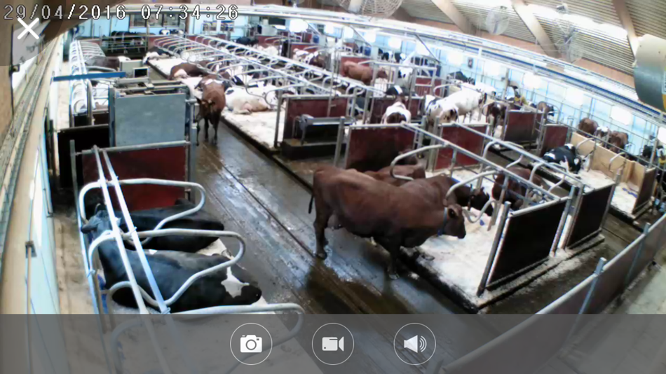 DeLaval FMC IP (iOS) 由: Luda.Farm AB DeLaval FMC IP (iOS) 由: Luda.Farm AB