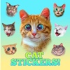 Cute Cat Stickers