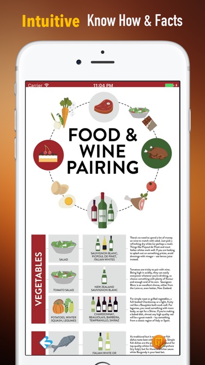 Wine Guide:Recipes,Basics and Hot Topics